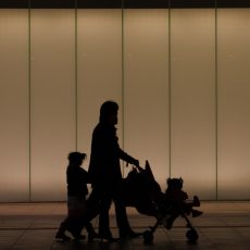 Working in the Family Court as an Expert Witness