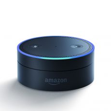 Can Your Spouse Spy On You with Amazon Alexa or Google Home?